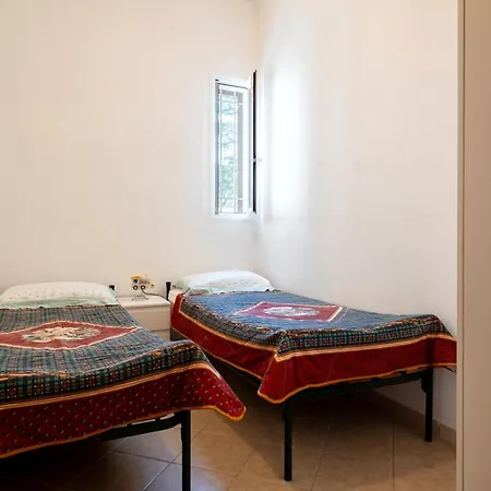 Tra Gli Ulivi In Ostuni